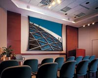 Draper Electric Screens